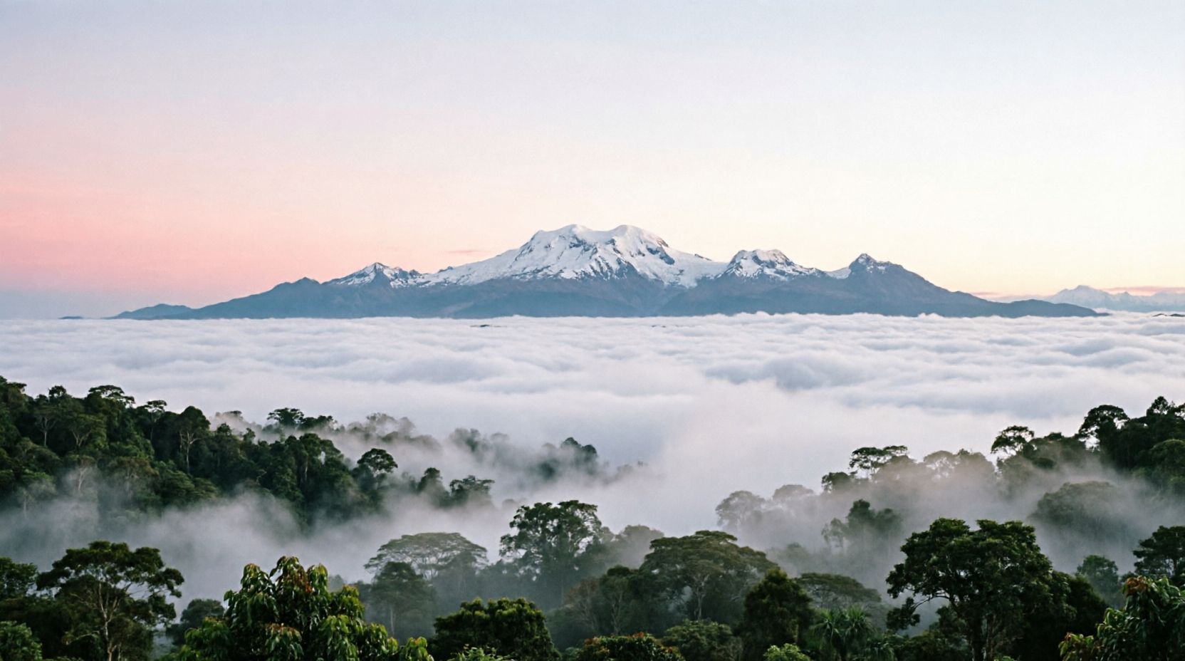 Jungle falling away from the ridge until it meets the flat silver of the Caribbean